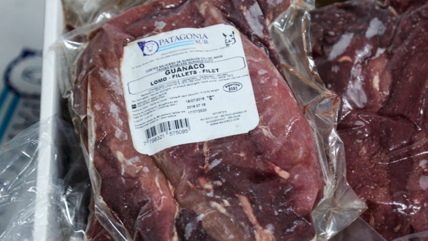 Argentina exporta por primera vez carne de guanaco