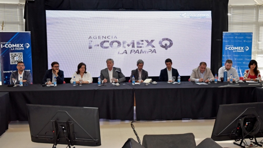 “El motor de la economía de La Pampa es el sector privado”, afirmó Zilotto ante el Consejo Asesor de I-Comex