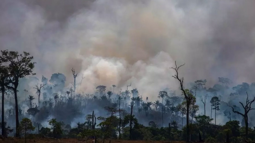 La creciente deforestación del amazonas divide el lobby agrícola de Brasil