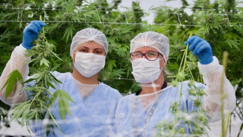 En 2023 se produjo un crecimiento exponencial de la industria cannábica en La Rioja