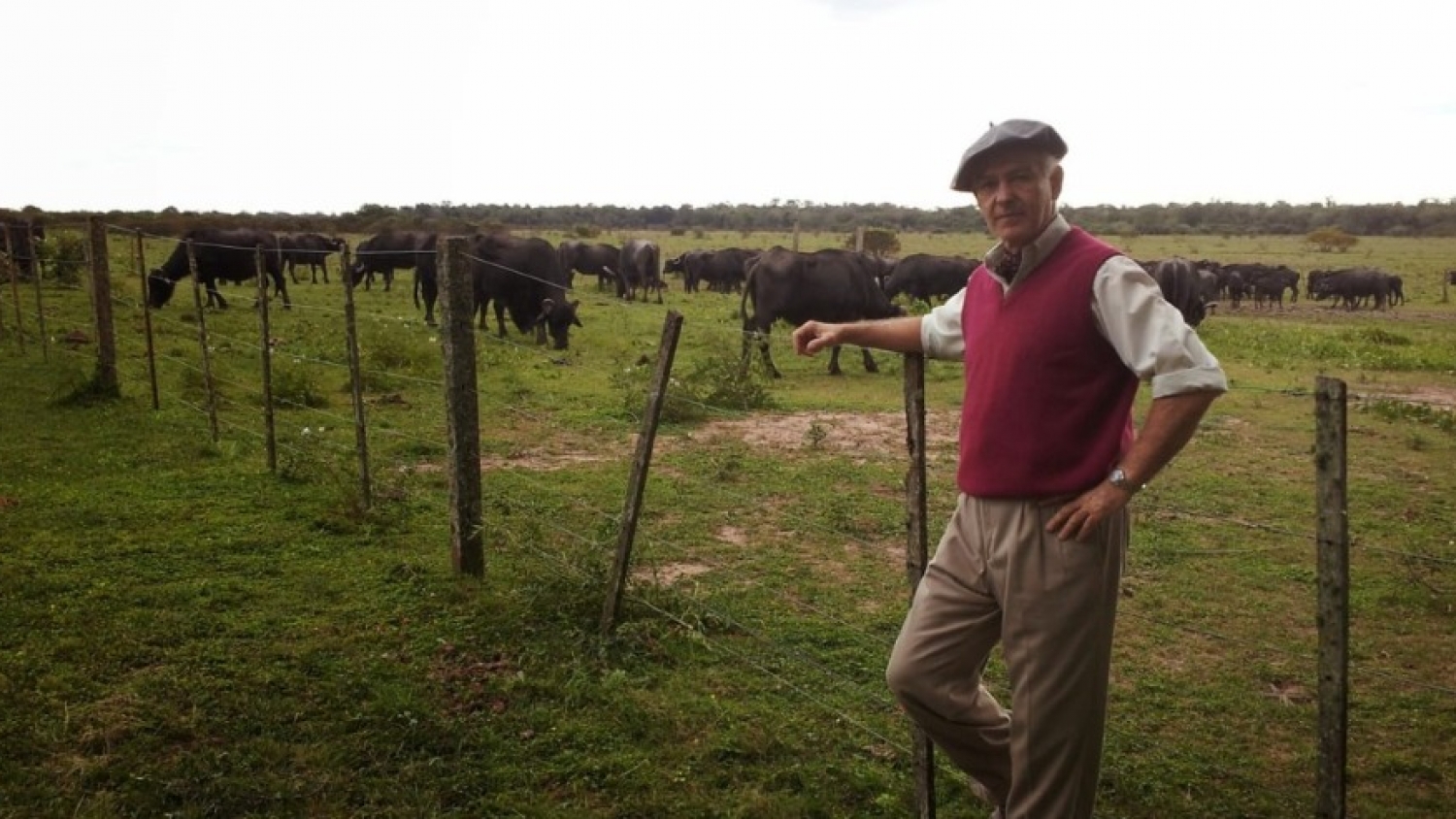 De Barrio Norte al monte formoseño: la historia del porteño que convirtió al búfalo en una alternativa productiva nacional