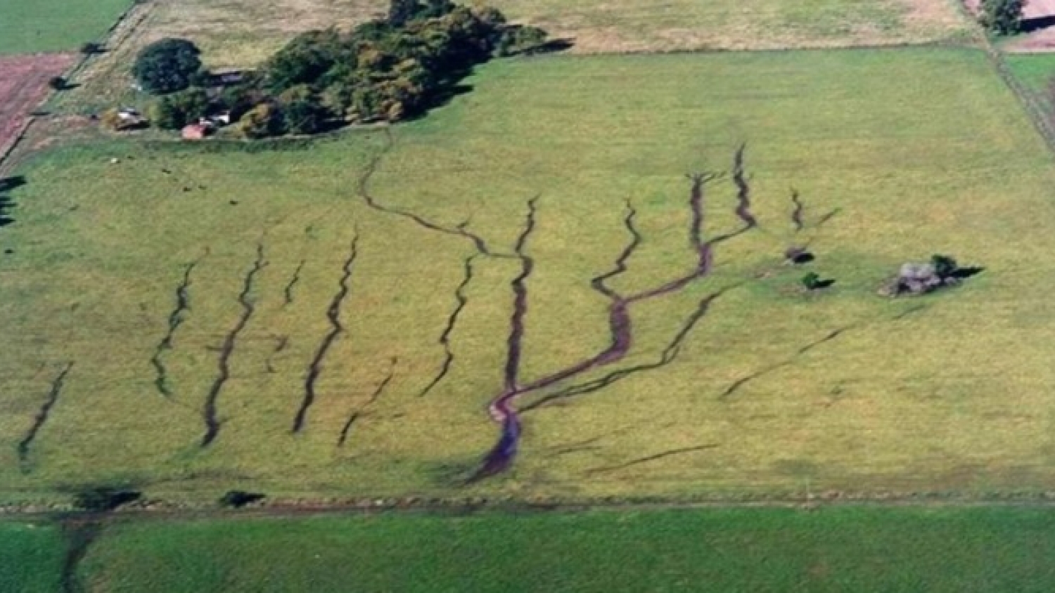 Día de la Conservación del Suelo: advierten que la degradación amenaza la producción de alimentos y el futuro del planeta