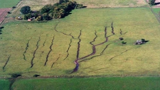 Día de la Conservación del Suelo: advierten que la degradación amenaza la producción de alimentos y el futuro del planeta