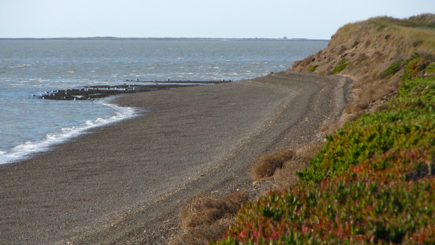San Blas, el destino costero bonaerense que apuesta al silencio, la naturaleza y playas sin multitudes