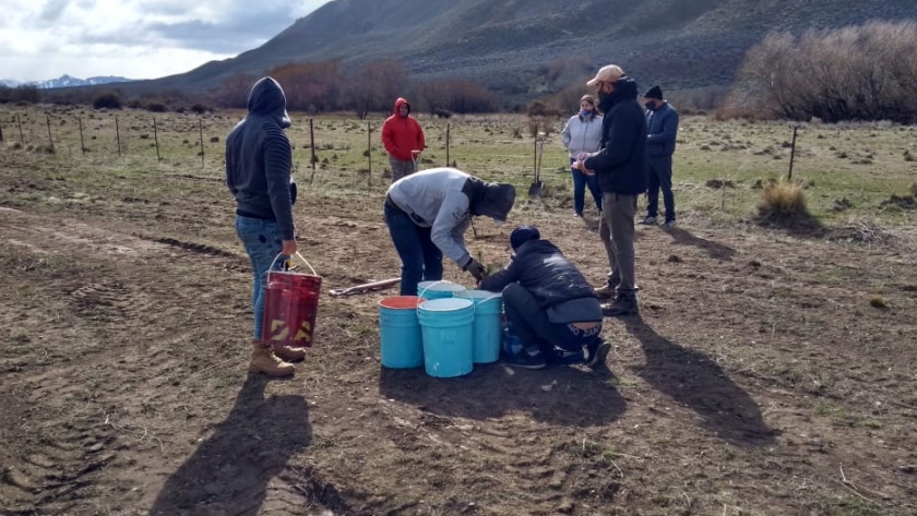 Provincia y municipio de El Maitén coordinan acciones para ampliar el bosque comunal