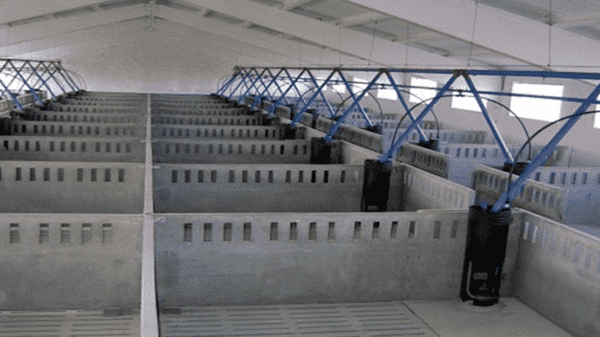 Factores que deben tomarse en cuenta al planear la construcción de una granja de cerdos