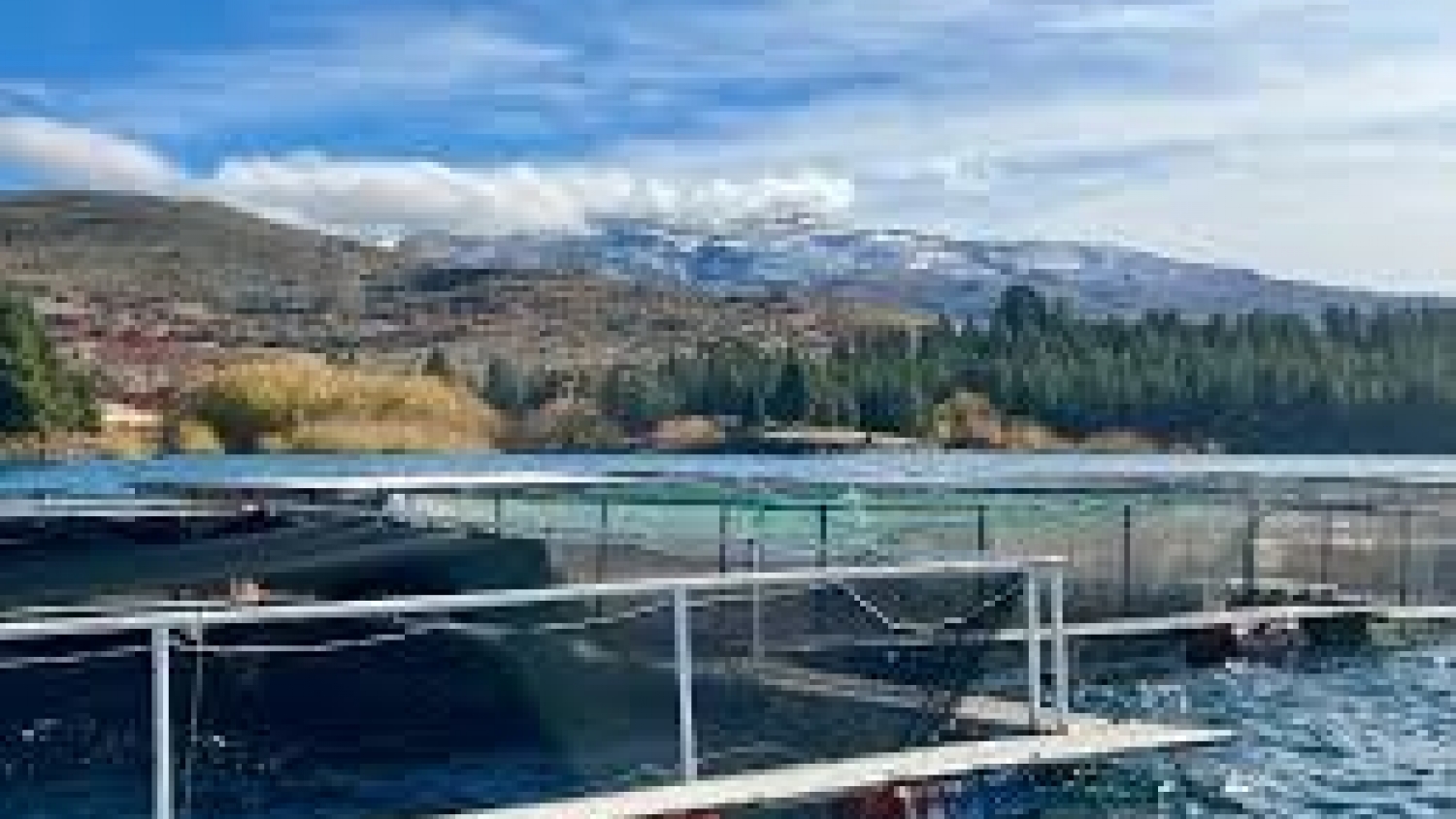 Acuicultura en Argentina: se impulsa un plan estratégico para potenciar la producción en Tierra del Fuego