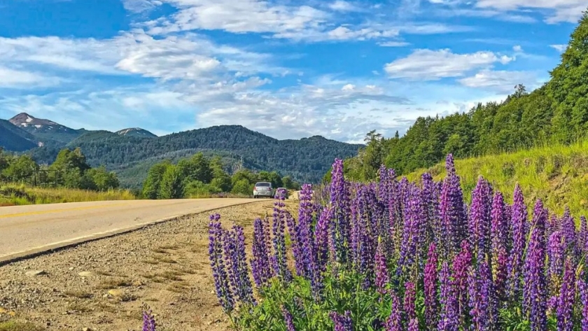 Verano neuquino: tips para viajeros