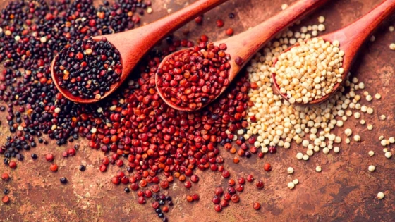 Quinua argentina: el superalimento que transforma la industria agroalimentaria local