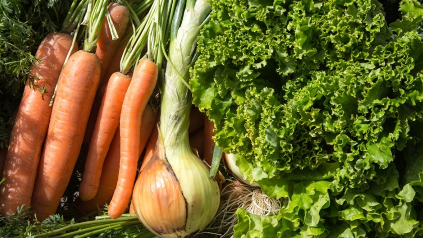 Agricultura destinará más de $ 19.5 millones para el sector hortícola de la provincia del Chaco