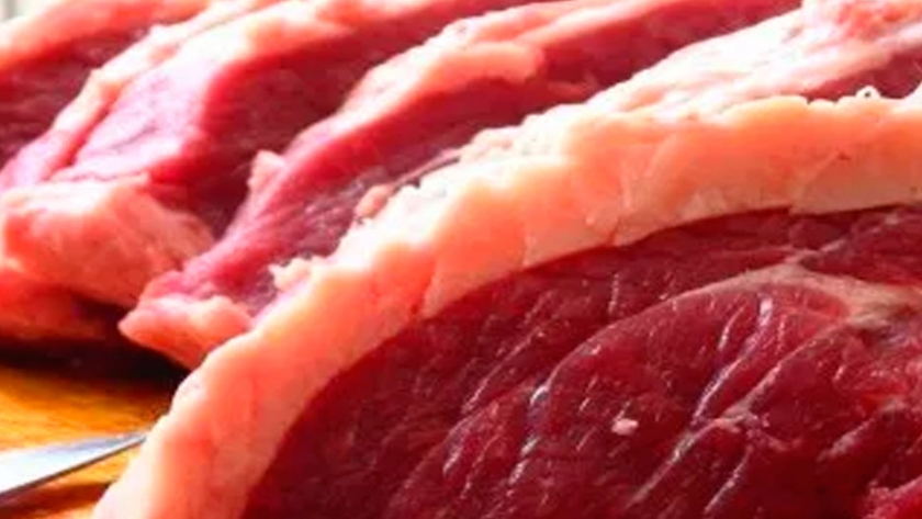 Autorizar importación de muestras de productos de origen animal sin valor comercial