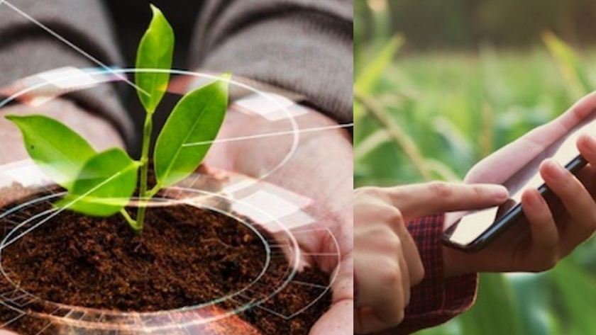 Tecnología agropecuaria: inscripciones abiertas para la misión a Israel