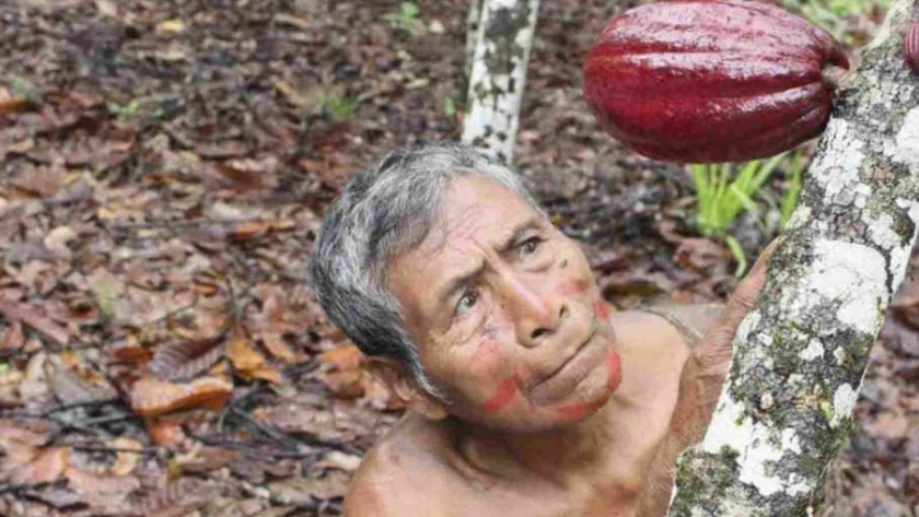 Conoce en el Perú las tres ocupaciones en producción del cacao en las que te puedes certificar
