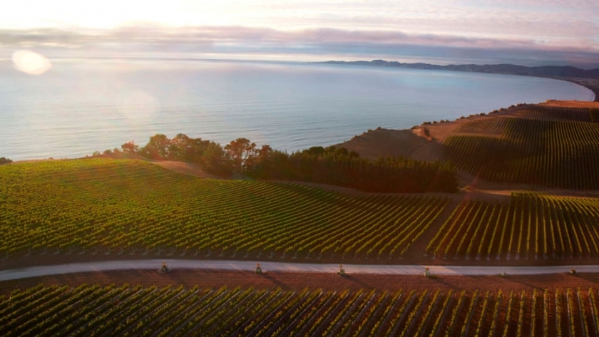 La primera bodega del mundo con carbono cero 