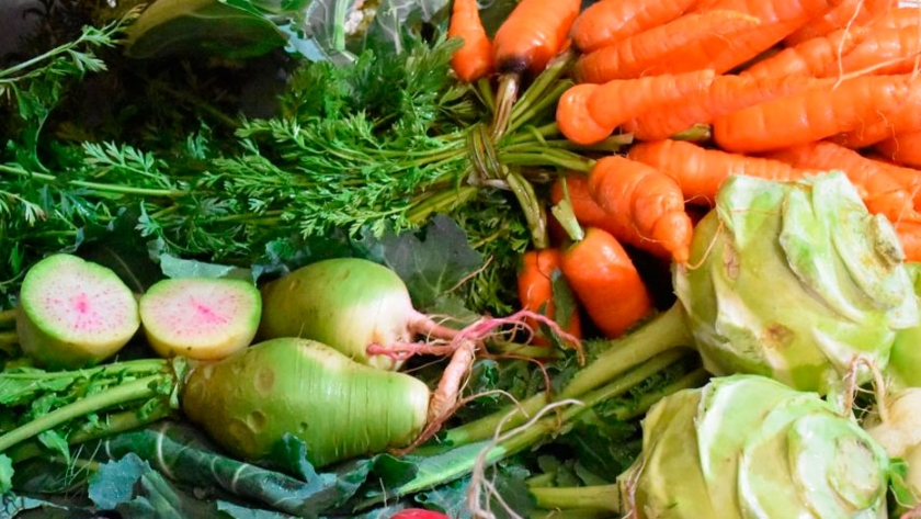 Comercio mundial de productos alimentarios y agrícolas se ha duplicado con creces en dos últimos decenios