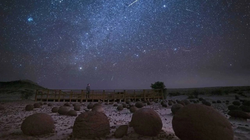 Ruta del cielo: un camino ancestral entre cardones y montañas que enamora a los viajeros