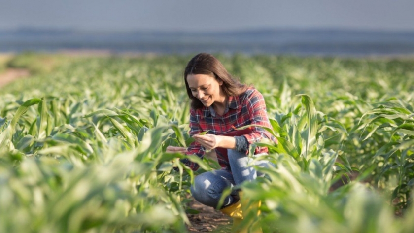 Igualdad: el desafío de las mujeres en el campo