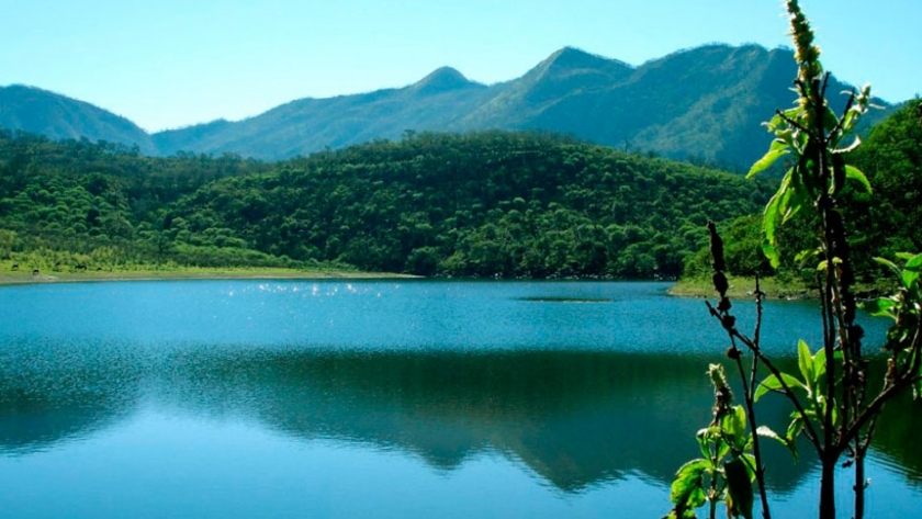 Investigadores del INTA recuperan la selva pedemontana de la Yunga