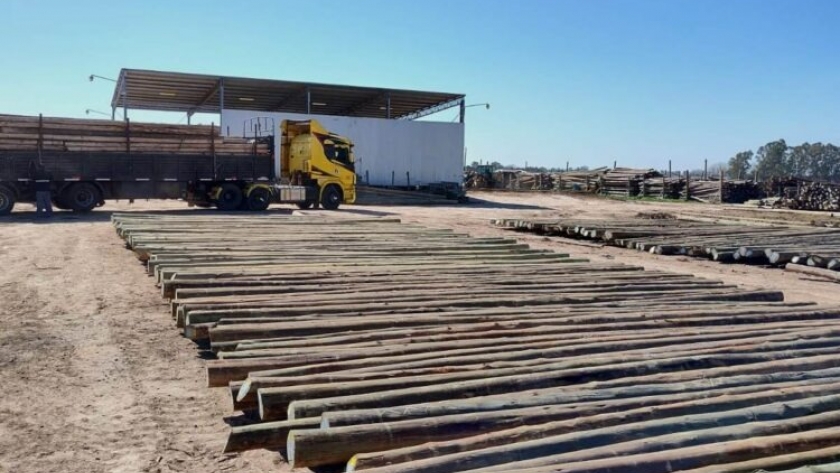 A la foresto-industria se suman otras cuatro cadenas de producción afectadas severamente por las restricciones a las importaciones de insumos