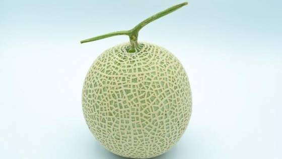 Melón Yubari, una rebanada de esta fruta se puede vender en 16 mil pesos