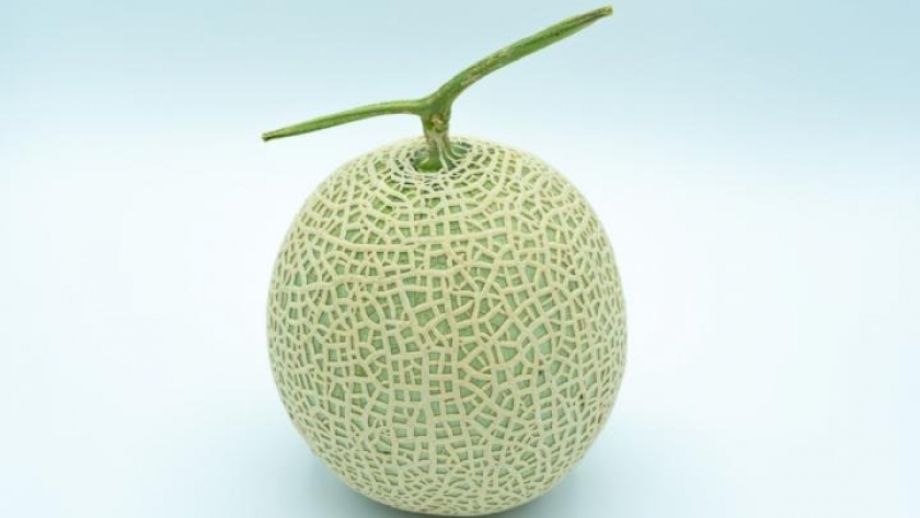 Melón Yubari, una rebanada de esta fruta se puede vender en 16 mil pesos