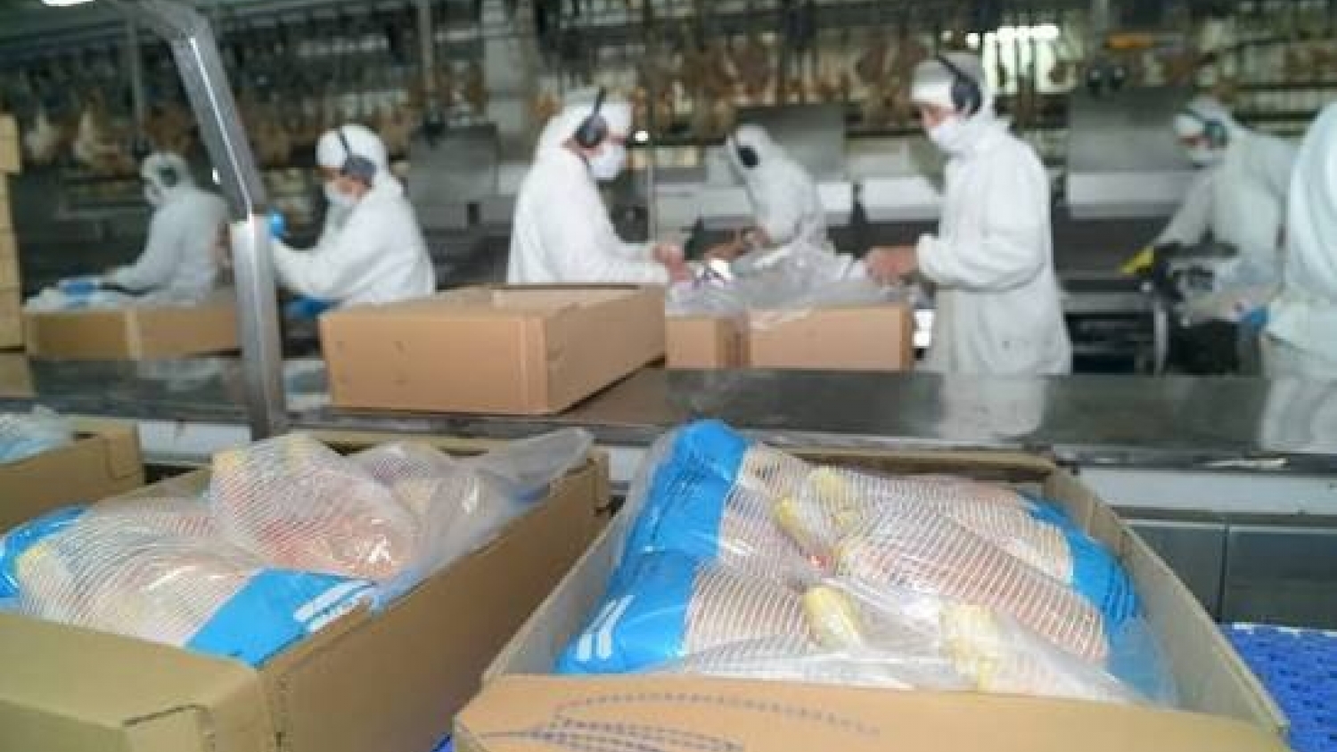 Japón vuelve a abrir su mercado a la carne aviar y los ovoproductos argentinos
