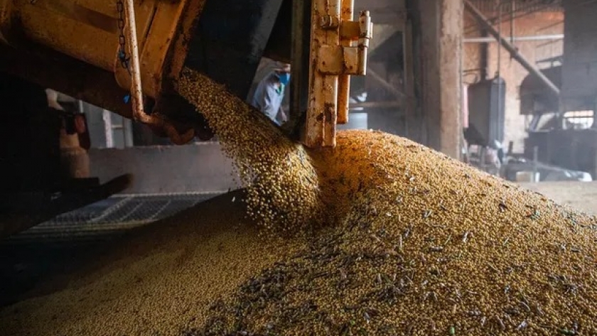 Hay dos empresas argentinas en un ranking que lista a las principales acciones de agro de Wall Street