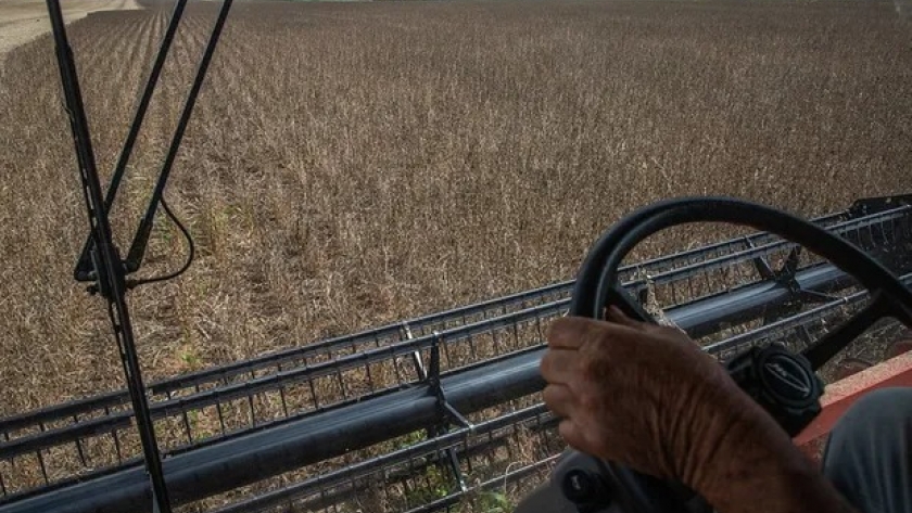 Desafío cosecha: a cuántos km/h conviene avanzar para evitar perder más de 100 kg de soja y maíz por hectárea