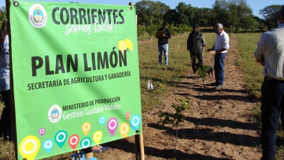 Plan Limón: en articulación con el INTA, en Caimán y Caá Catí comenzaron las capacitaciones a productores