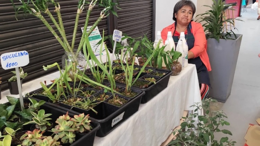 Continúan con éxito los Jueves de Flores y Plantas