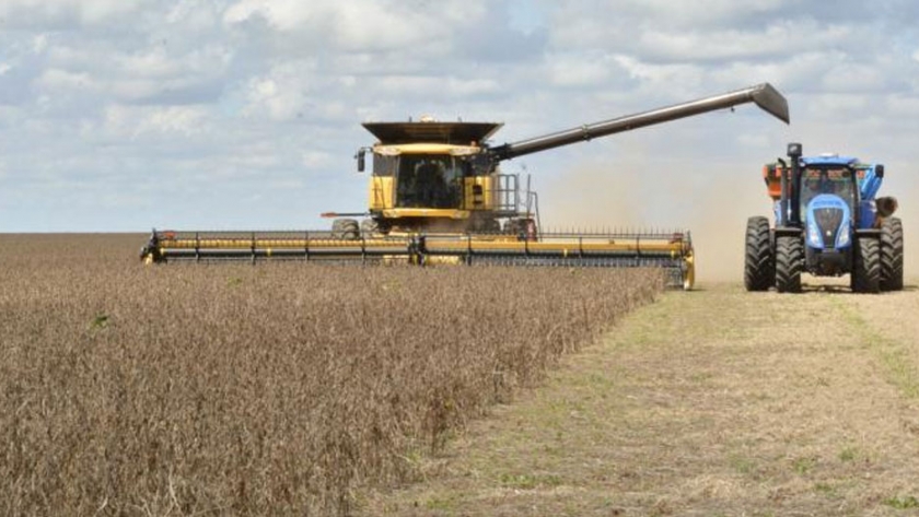 La agricultura intensiva aumenta el riesgo de epidemias, advierten los científicos