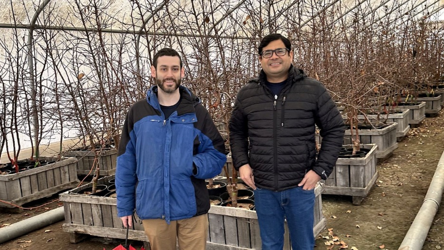 CryoBio raises $1.3 million to bring antifreeze proteins to orchards