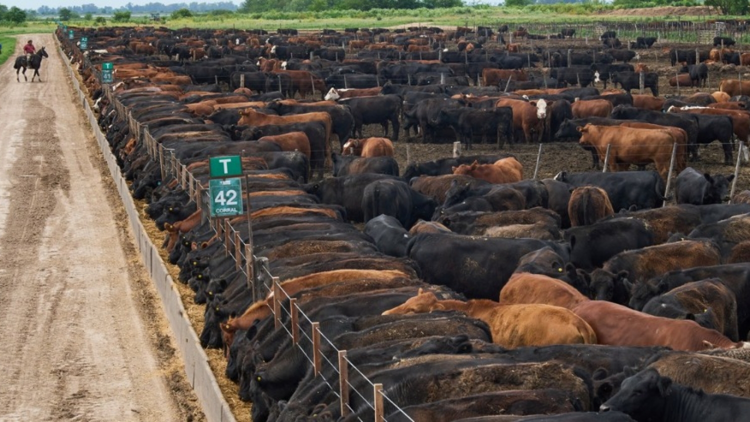Feedlots elevan la ocupación de corrales y apuntan a sumar más kilos para abastecimiento de los mercados