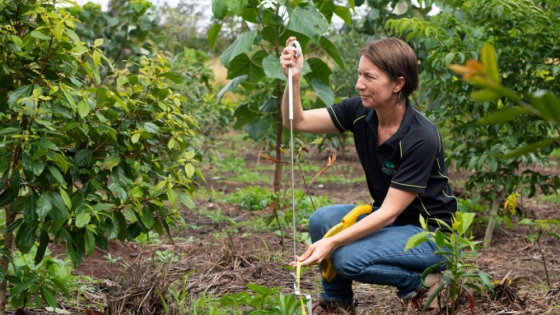 <Eco-Markets Australia Launches First-Ever Biodiversity Credit Scheme for Rainforest Restoration
