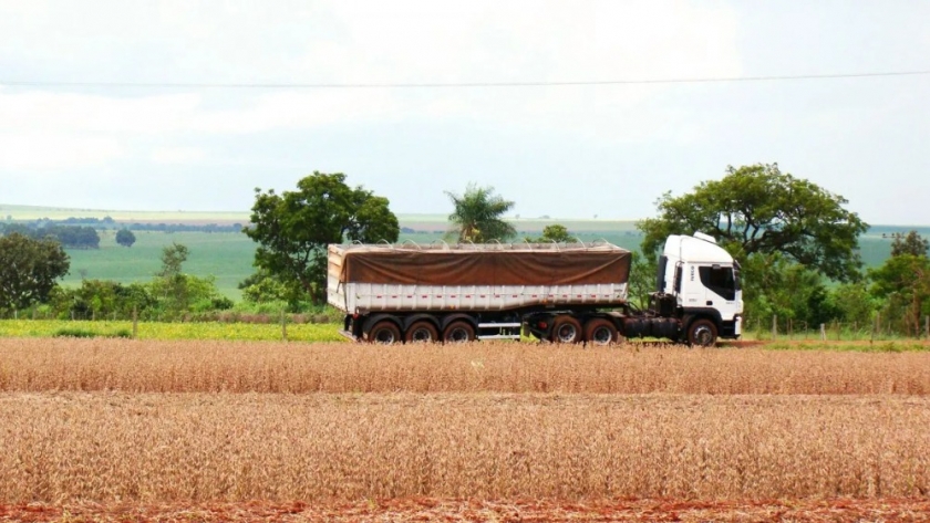 El Gobierno informa la actualización del cuadro tarifario para el transporte de granos