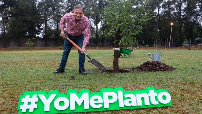 Yo Me Planto: cómo es el proyecto de forestación que lanzó Fernando Gray