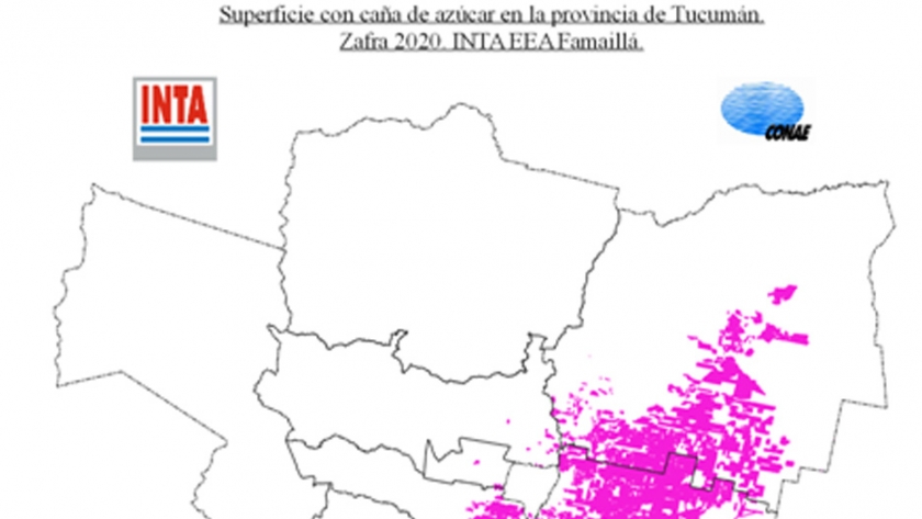 Caña de azúcar: 260.800 son las hectáreas cultivadas en la provincia