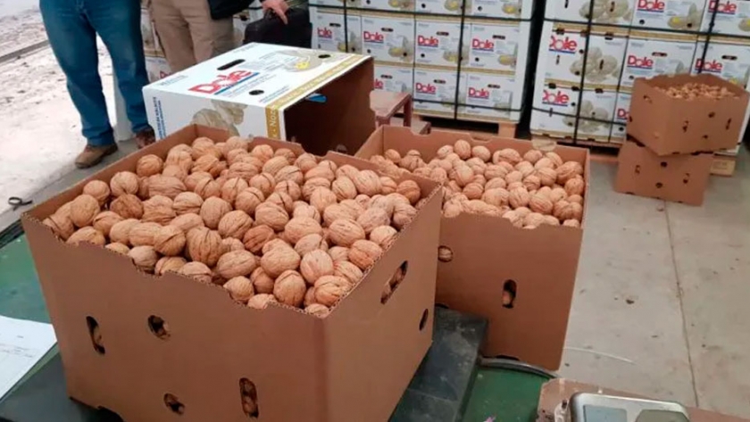 Aumentó casi un 40% la exportación de frutos secos