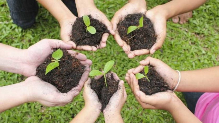 Jardines saludables y solidarios