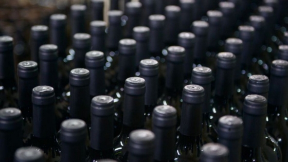Salta: presentan proyecto logístico al sector vitivinícola nacional