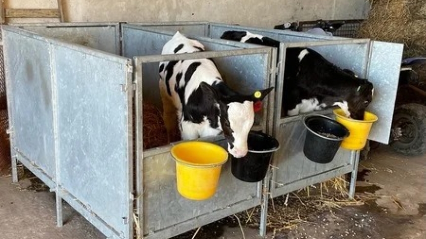 Agroactiva: Galvasa aportará su conocimiento sobre el fuerte impacto del óxido y la corrosión en la rentabilidad agrícola