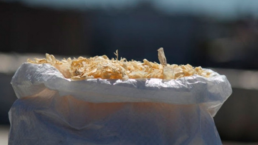 Convertirán desechos de langostinos en productos de valor agregado