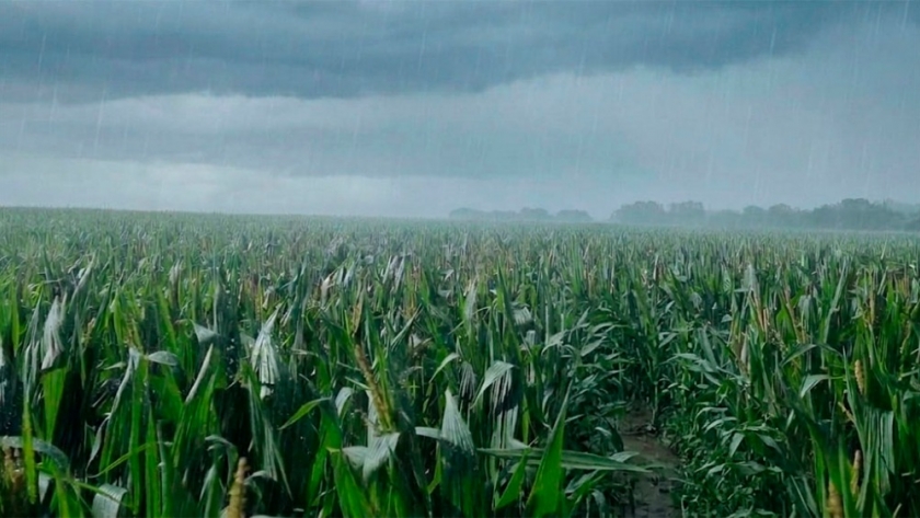 El regreso de El Niño entusiasma al campo: proyectan un escenario climático ideal para la campaña gruesa 2026/27