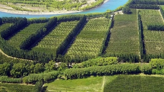 ¿Cuál es el superalimento que el Valle produce en miles de toneladas?