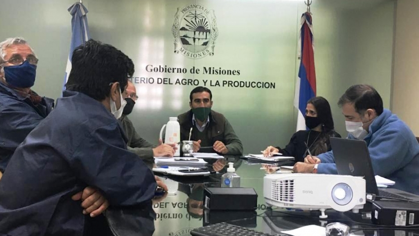 Avanzan proyectos para ampliar producción ovina y caprina