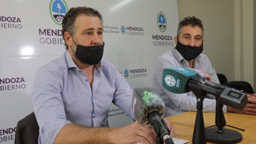 Avanzan las gestiones para la concreción del Parque Tecnológico del Sur mendocino