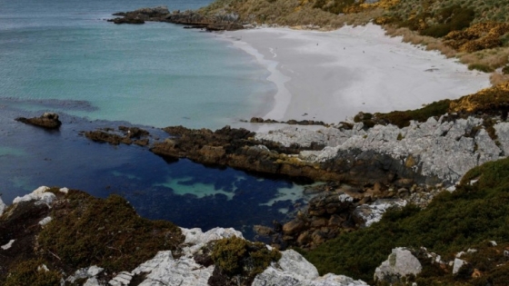 La población de Islas Malvinas evalúa permitir salmonicultura a gran escala