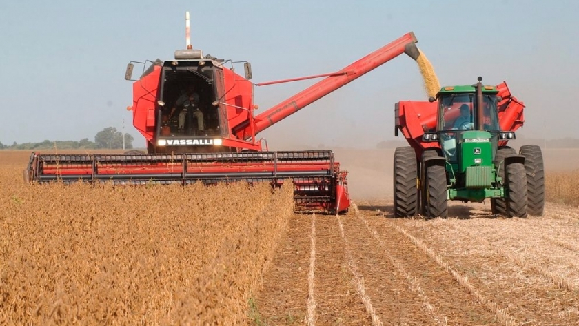 Granos en precios récord: cómo aporta el boom de la soja a la estabilidad cambiaria y a la recaudación del fisco