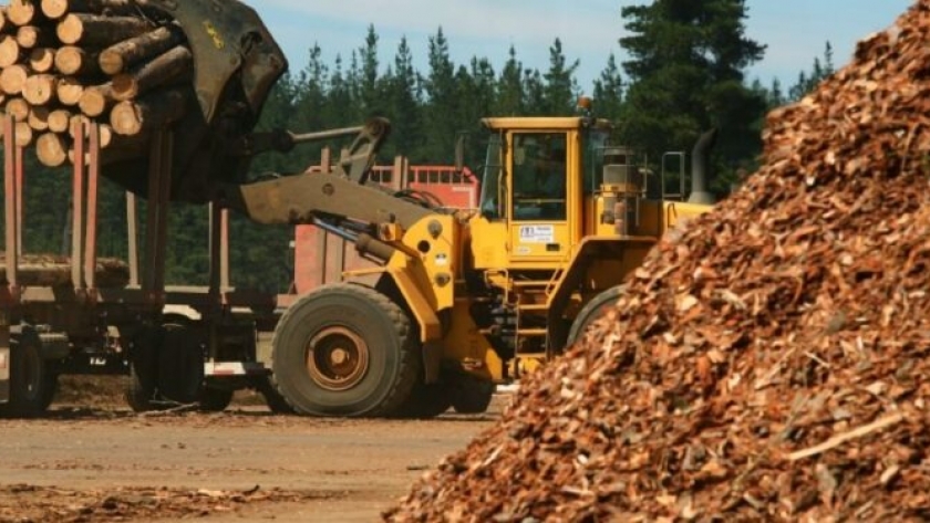 La actividad foresto-industrial argentina cuenta ventajas competitivas a nivel mundial que se podría aprovechar