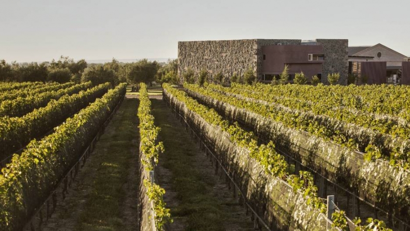 Una vitivinicultura natural